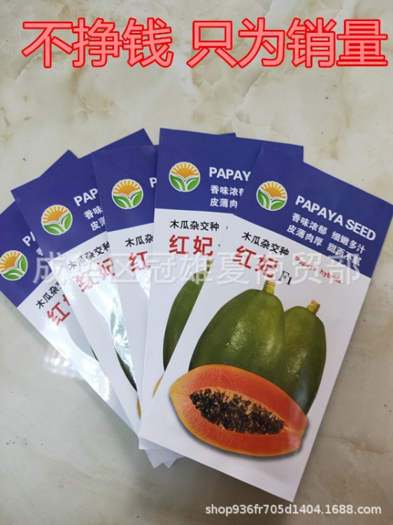 番木瓜種子 奶油木瓜種子 紅妃1號木瓜種子 紅妃3號木瓜種子矮株