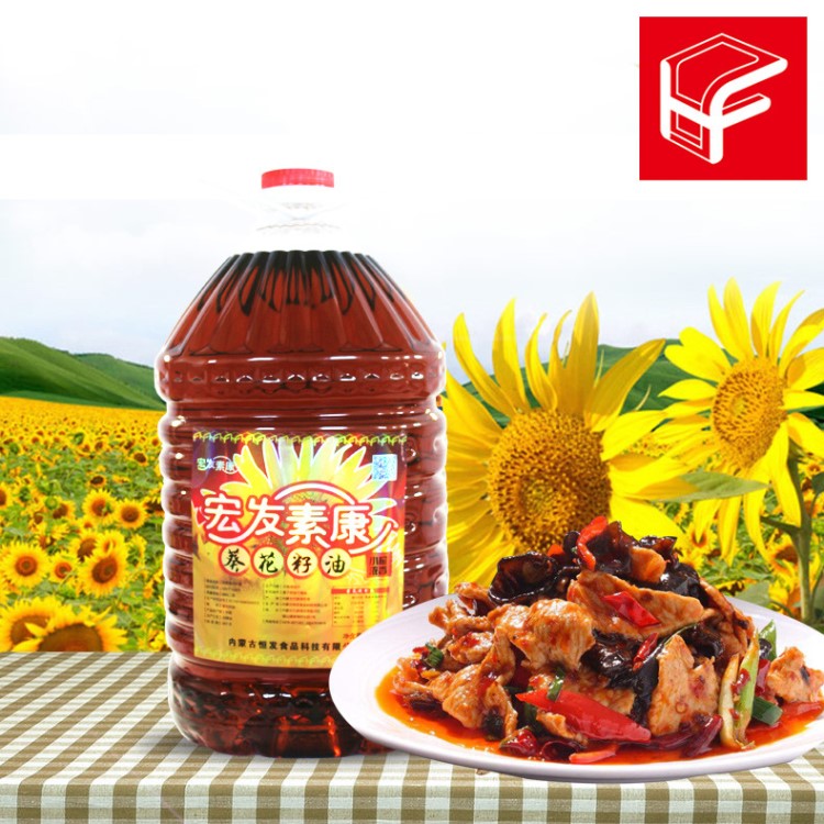 內(nèi)蒙古恒發(fā)食品 宏發(fā)素康 葵花籽油20升 濃香型 食用油批發(fā)