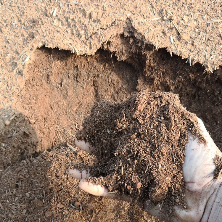 横县黄泥土农家土 土质松软适用于植物 营养土价格实惠