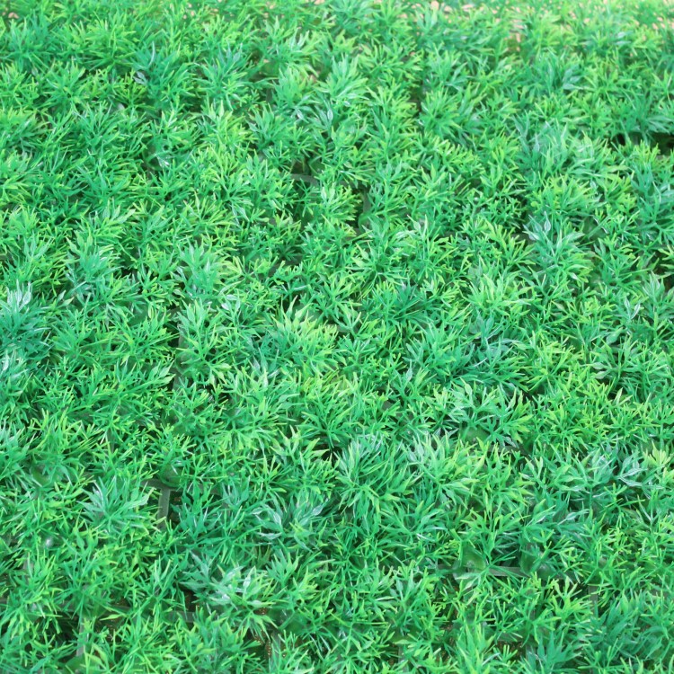 義烏廠家直銷 仿真四頭草草坪批發(fā) 假草皮塑料60*40cm魚缸水草