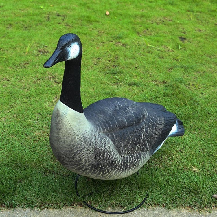 仿真大白鵝花園別墅園林景觀裝飾戶外擺件加拿大鵝 canada goose