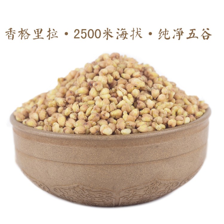 紫煌  200g/罐清香型特產(chǎn)級黃金全株全胚芽 苦蕎茶清香型蕎麥茶