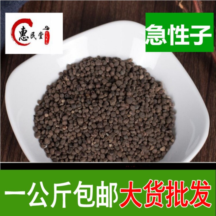 急性子 金鳳花子鳳仙子 一公斤包郵  食用農(nóng)產(chǎn)品初加工