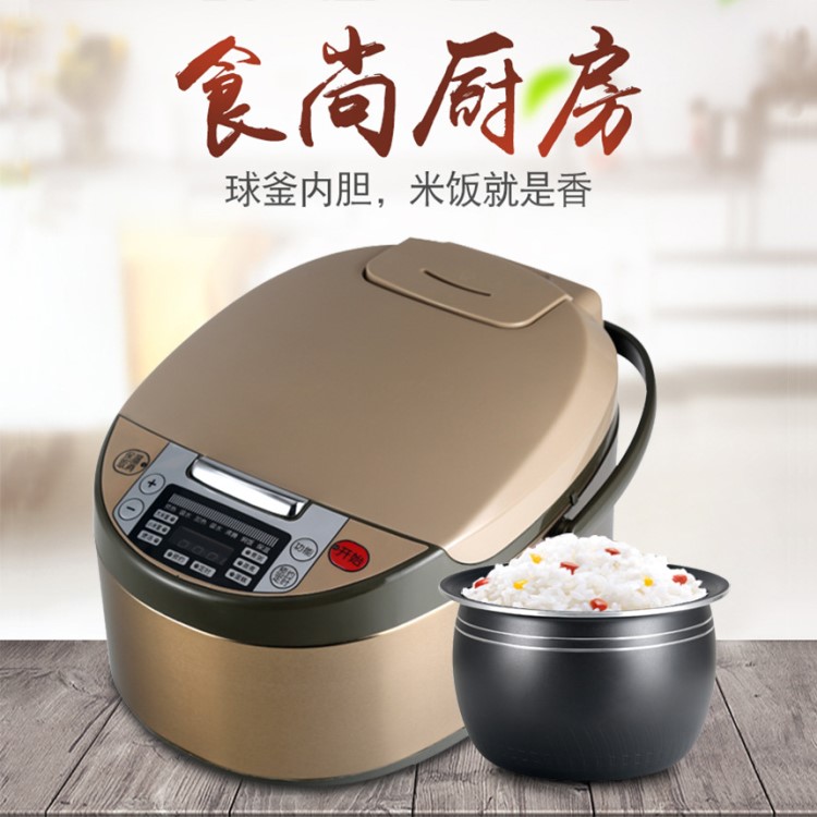 工廠直營(yíng)5L多功能智能家用電飯煲電器會(huì)銷贈(zèng)品禮品支持OEM定制