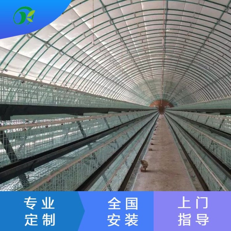 廠家直銷溫室透光保溫型單體連棟溫室大棚通風(fēng)鋼結(jié)構(gòu)雞棚雞舍