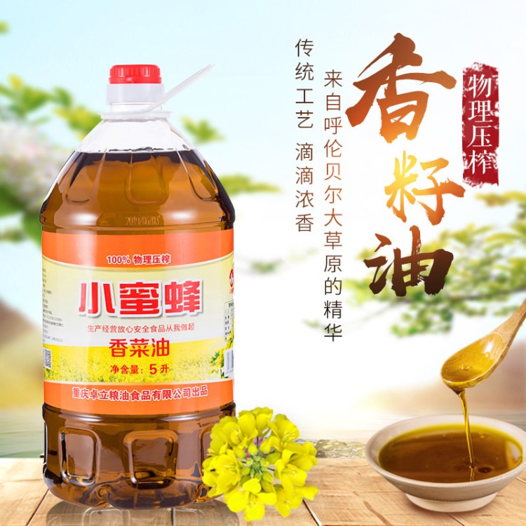 重慶小蜜蜂 三級(jí)香菜油菜籽油5L 非轉(zhuǎn)基因食用油 廠家直銷(xiāo)