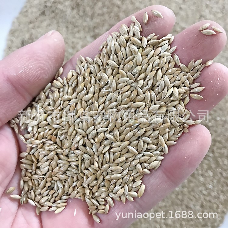 批發(fā)草籽 加納 白尖粟 金絲雀籽 鳥糧 鴿糧 鸚鵡糧 500g