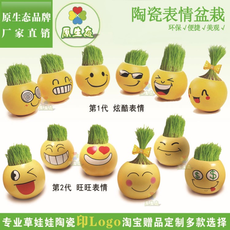 陶瓷表情 長(zhǎng)草頭娃娃 DIY室內(nèi)小植物 擺攤 學(xué)生禮品廣告印logo