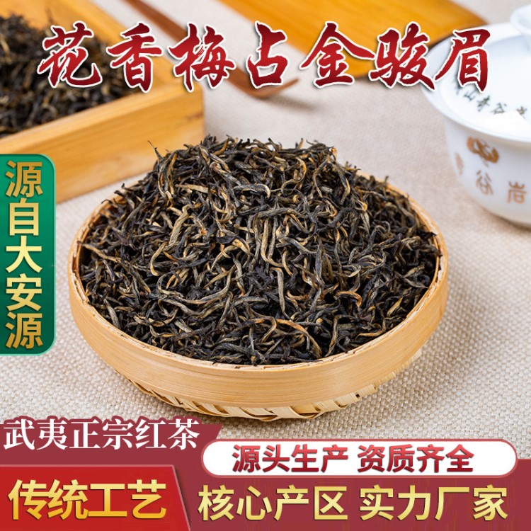 【花香梅占金骏眉】武夷红茶桐木关500g散装红茶 武夷山高山野茶