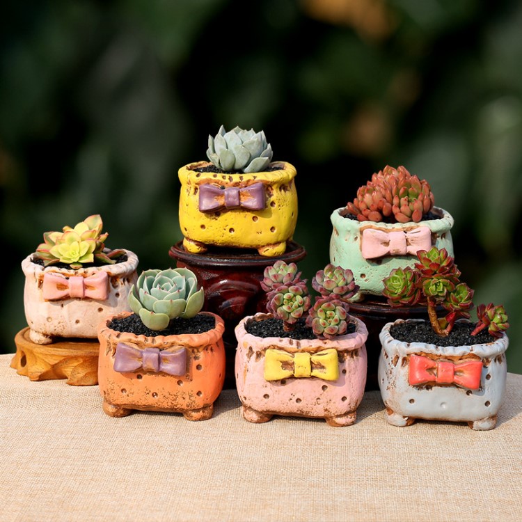 多肉花盆陶瓷創意糖果色蝴蝶結肉肉植物花盆手繪陶土方形小花盆