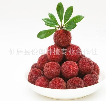 【俊朗】預(yù)定仙居特級東魁楊梅 江浙滬順豐包郵 產(chǎn)地直銷