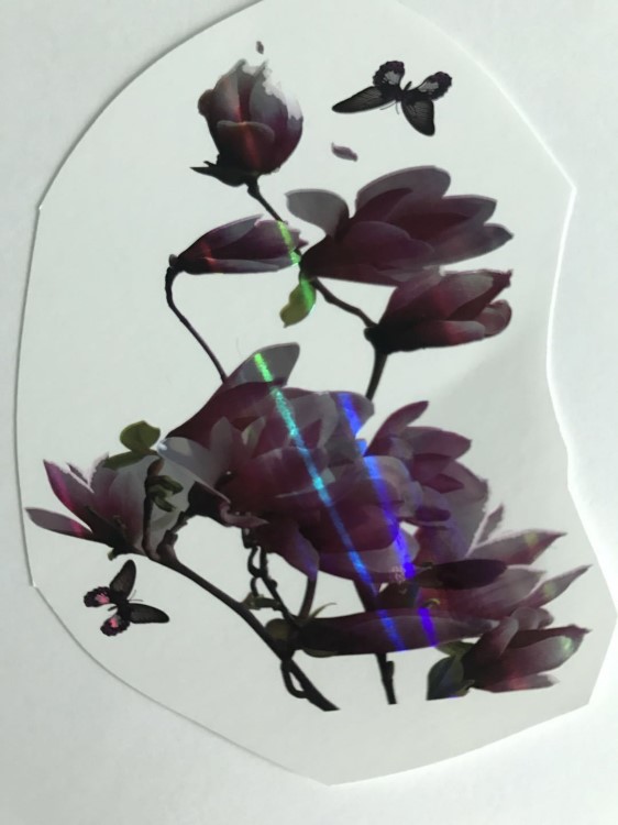 廠家生產(chǎn)3D立體水貼花紙 雷色花水轉(zhuǎn)印 花紙 貼紙 水貼紙