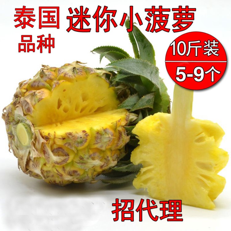 泰國迷你小菠蘿普吉島香水小菠蘿新鮮水果鳳梨8斤包郵批發(fā)一件代