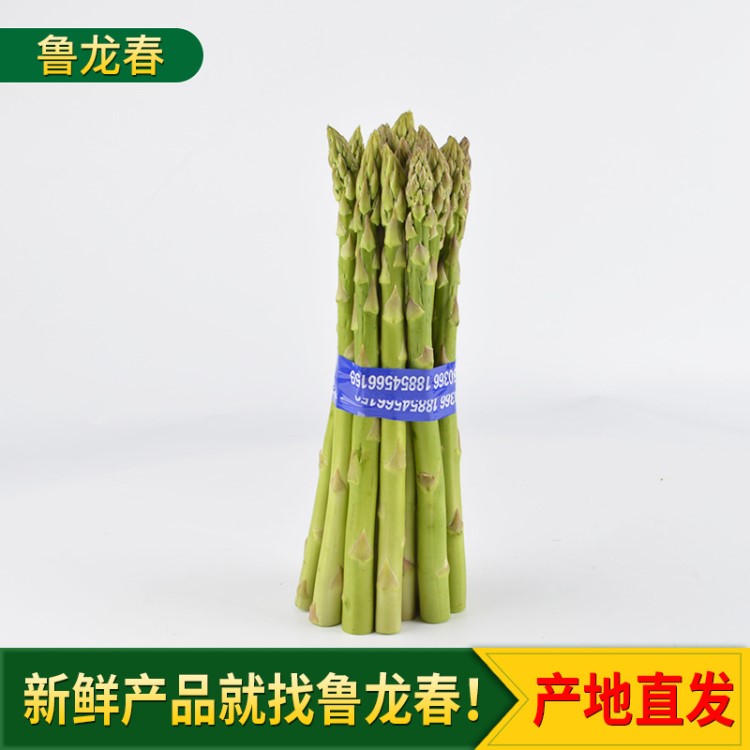 五斤裝粗蘆筍批發 新鮮綠蘆筍農家青筍時令蔬菜龍須菜 現采鮮蘆筍