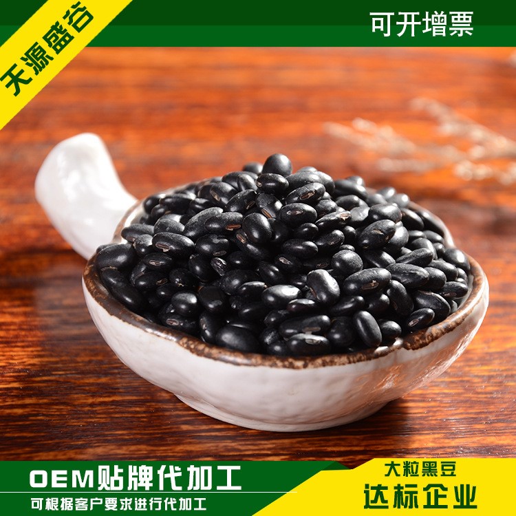 批發(fā)新貨粒飽滿青仁烏豆 產(chǎn)地直銷磨房原料 低溫烘焙大粒黑豆