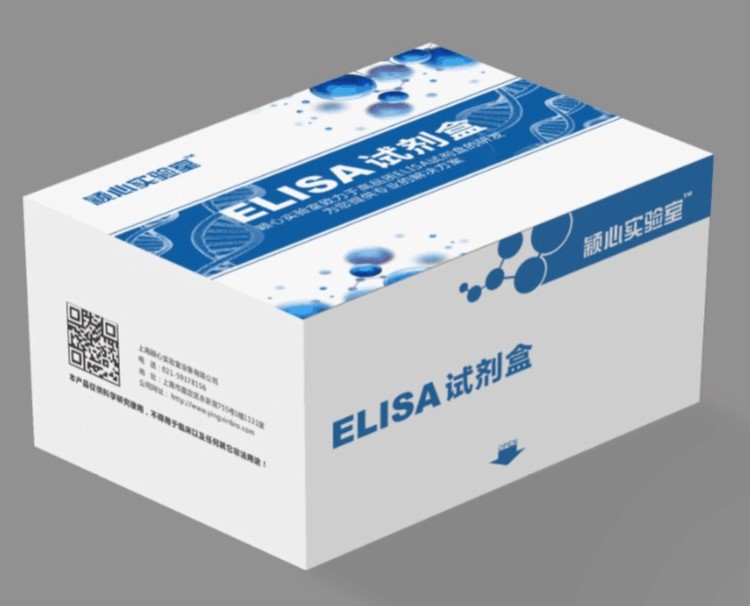 高品質試劑盒/小鼠抗甲狀腺球蛋白抗體(ATGA/TGAB)ELISA試劑盒