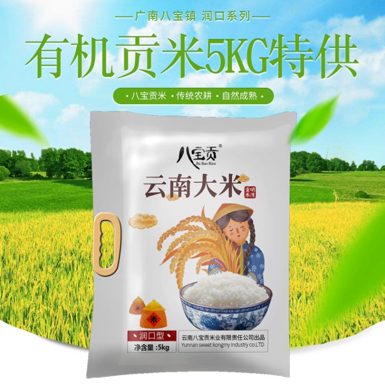 云南大米農(nóng)產(chǎn)品潤(rùn)口型袋裝大米5千克有機(jī)大米產(chǎn)地直銷長(zhǎng)粒香米