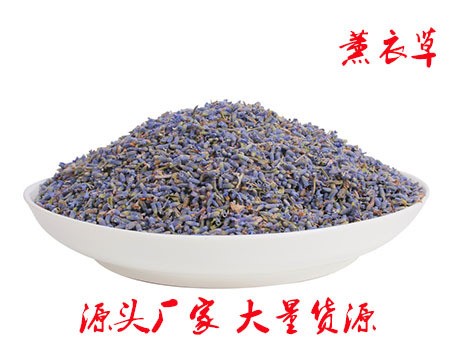 批發(fā)特級薰衣草 散裝薰衣草 花茶  大貨 花草茶 量大從優(yōu)