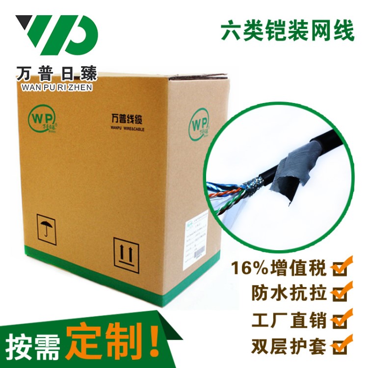 六類鎧裝無氧銅網(wǎng)線 抗干擾屏蔽網(wǎng)線 網(wǎng)絡(luò)傳輸雙絞網(wǎng)線 按需定制