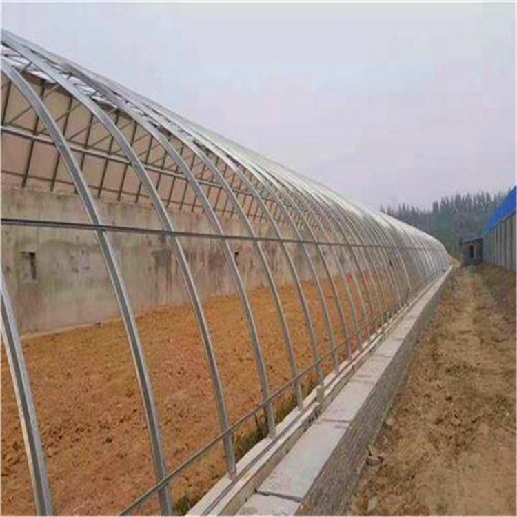 折彎加工大棚鍍鋅管Q235國標鍍鋅管 大棚鍍鋅鋼管折彎加工鍍鋅管