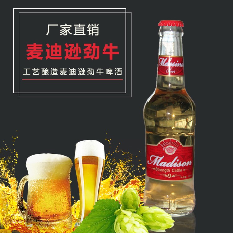 供应工艺 酿造麦迪逊劲牛啤酒 酒吧啤酒批发量大从优