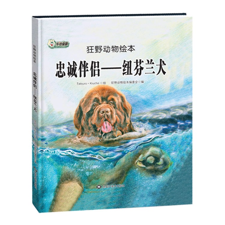 忠诚伴侣&mdash;纽芬兰犬 狂野动物故事绘本 精装正版书籍  儿童科普启