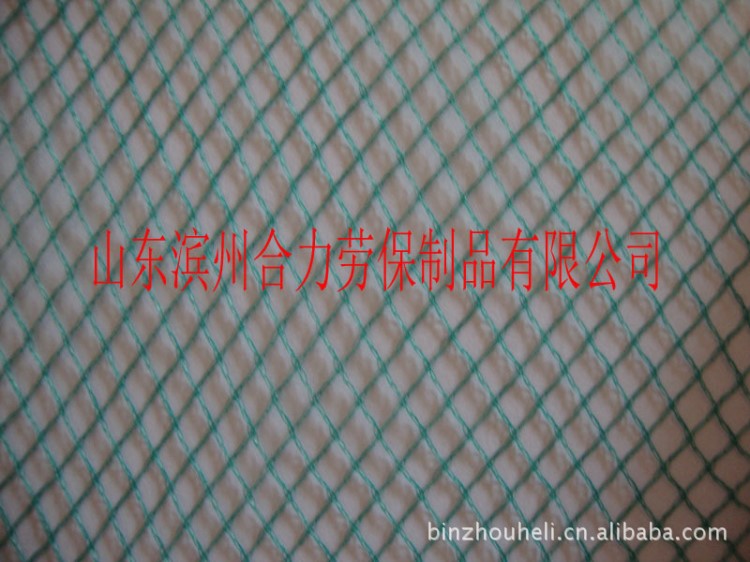 廠家供應 海參養殖網 漁業用具 耐腐蝕 生產 歡迎訂購【圖】