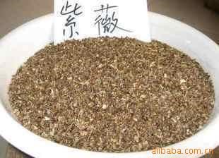 批發(fā) 綠化苗木 多花花木種子 紅花紫薇種子 紅花紫薇苗