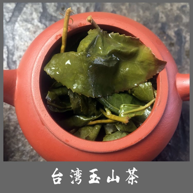 【玉山茶】臺(tái)灣南投烏龍茶玉山高山茶臺(tái)灣原裝高山茶清香300g