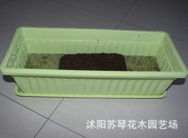 園藝種植 種菜 專用無菌壓縮 椰粉 椰磚 綠植物栽培營養(yǎng)土