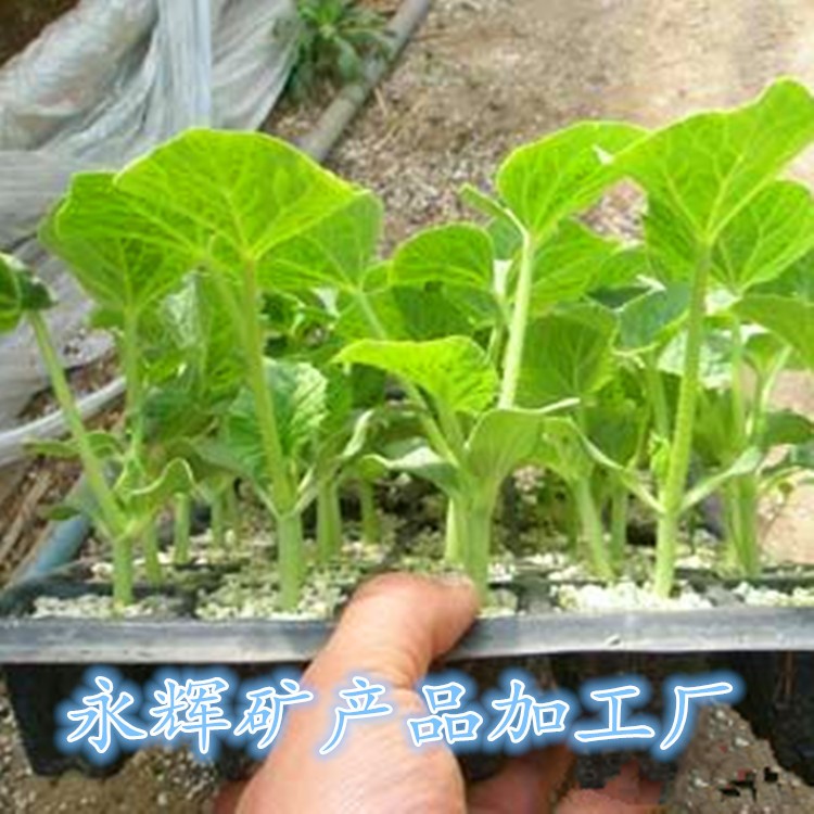 草炭土碳用高品質營養土 有機基質 花卉苗圃鋪面 土壤改良通用肥