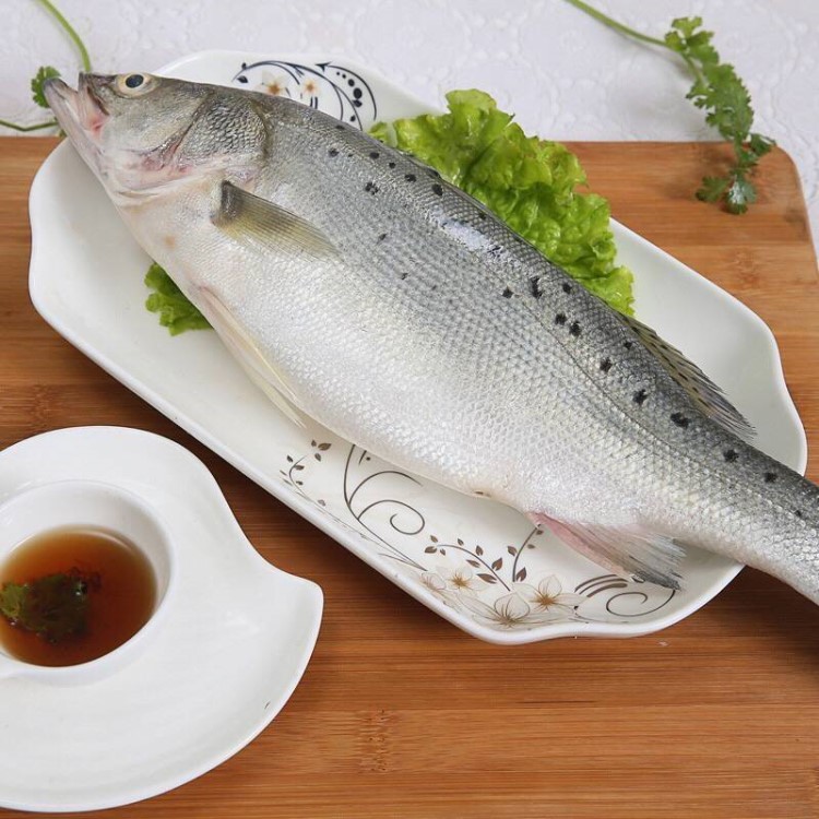 海捕新鮮大鱸魚(yú) 野生花鱸魚(yú)寨花魚(yú)鱸板魚(yú)海魚(yú)海產(chǎn)品海鮮類(lèi)水產(chǎn)