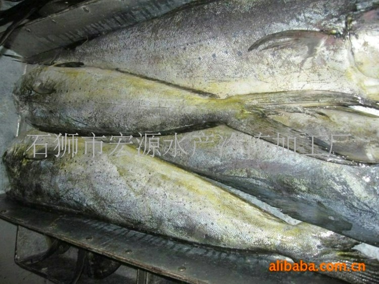 批發(fā)冷凍鬼頭刀魚 飛虎魚 冷凍海鮮 冷凍水產(chǎn)品