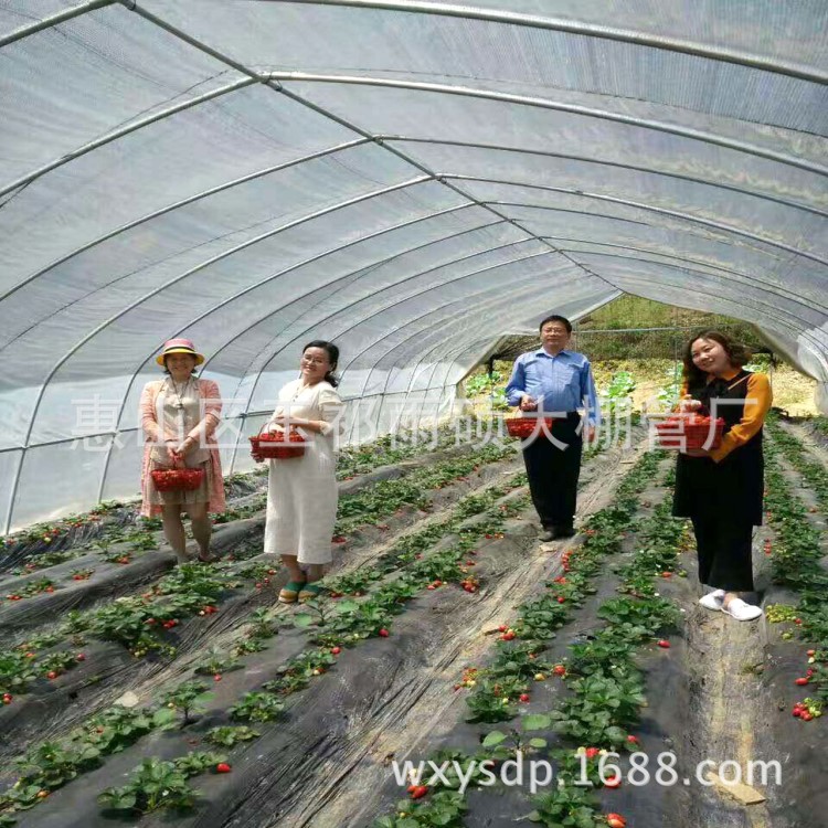 江蘇無錫大棚管 大棚鋼架結構 養殖大棚骨架  草莓大棚配件