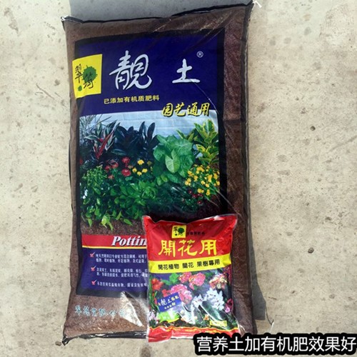 翠筠靚土80L 全植物通用型多肉土營(yíng)養(yǎng)土 園藝用品