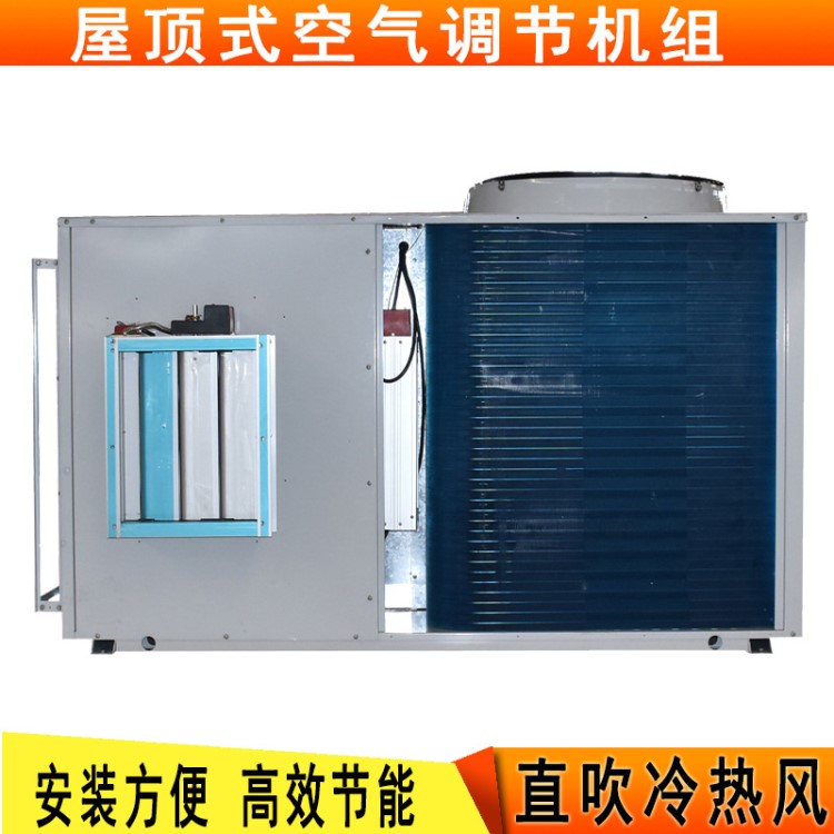 供應風冷直膨機組 車間高大的空間采暖制冷屋頂式空氣調節(jié)機組