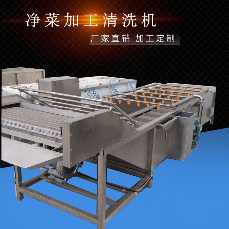 吉林凈菜加工流水線 氣泡清洗機 蔬菜水果清洗機全自動水果清洗機