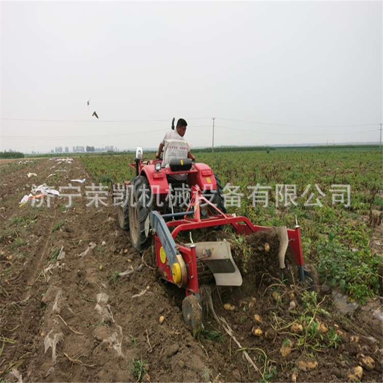 青島土豆收獲機廠家 全自動不破皮馬鈴薯收獲機 拖拉機紅薯土豆機