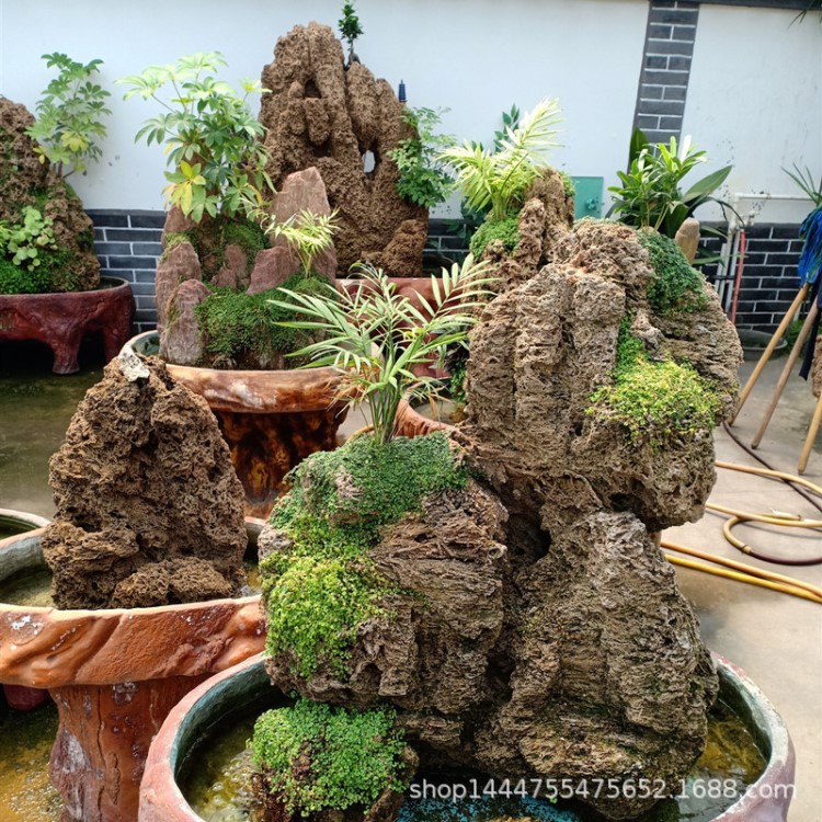 海水珊瑚石 死石生物石海水族箱魚缸造景假山 熱線13103116527