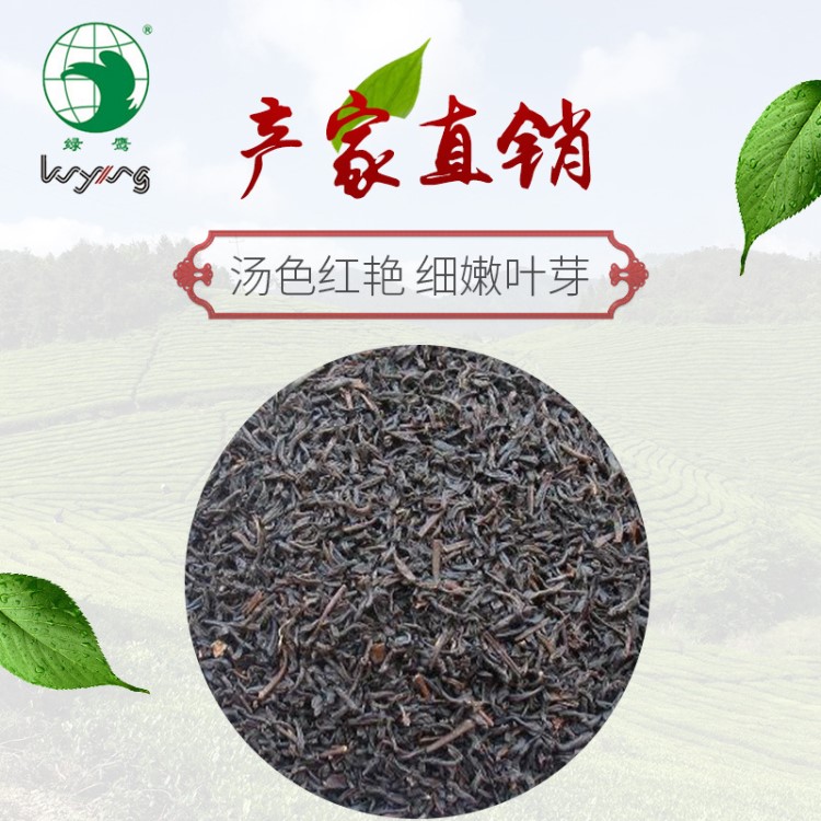 廠家批發(fā)供應(yīng)紅茶 明前西湖龍井 雨前茶葉新茶綠茶浙江綠鷹