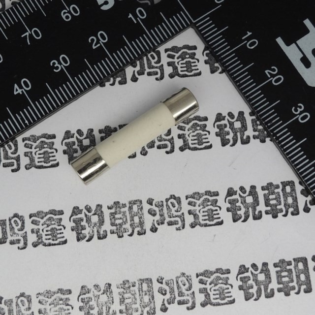 陶瓷保險管 6*30 20A 250V 快斷保險絲 F20A