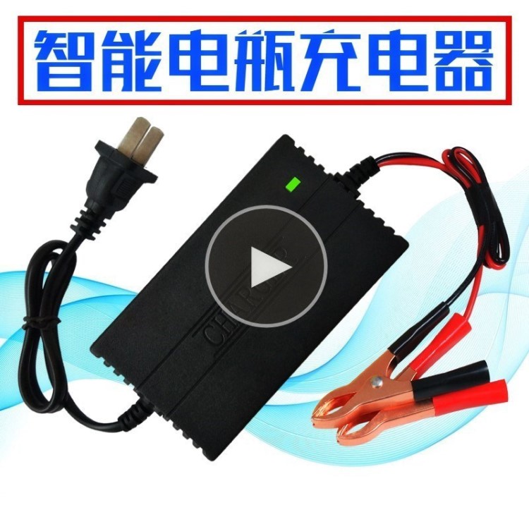 。通用伏水電瓶充電器 12v 自動(dòng)型十二充電器 汽車(chē) 多功能