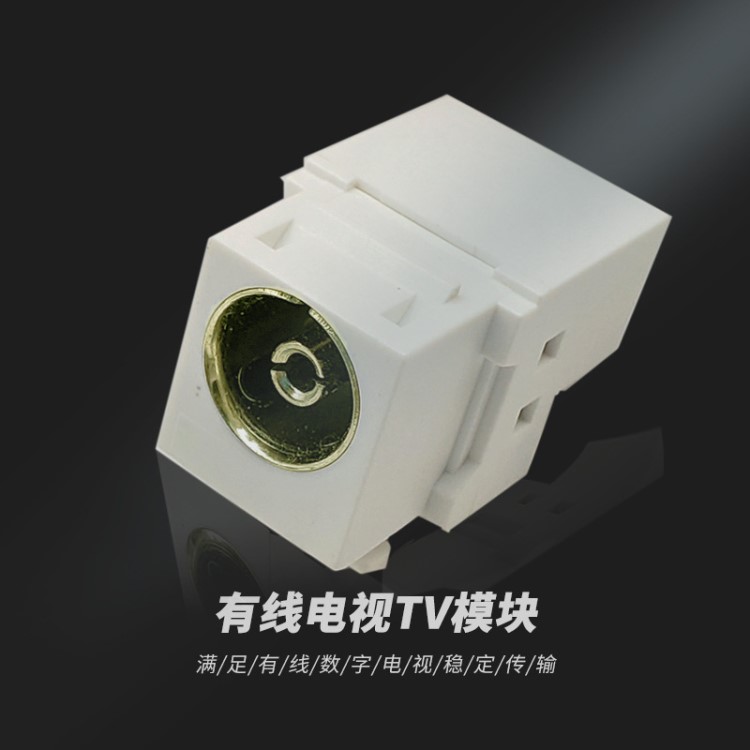 廠家直銷貝亞格網絡視頻模塊 閉路數字有線電視模塊 TV電視模塊