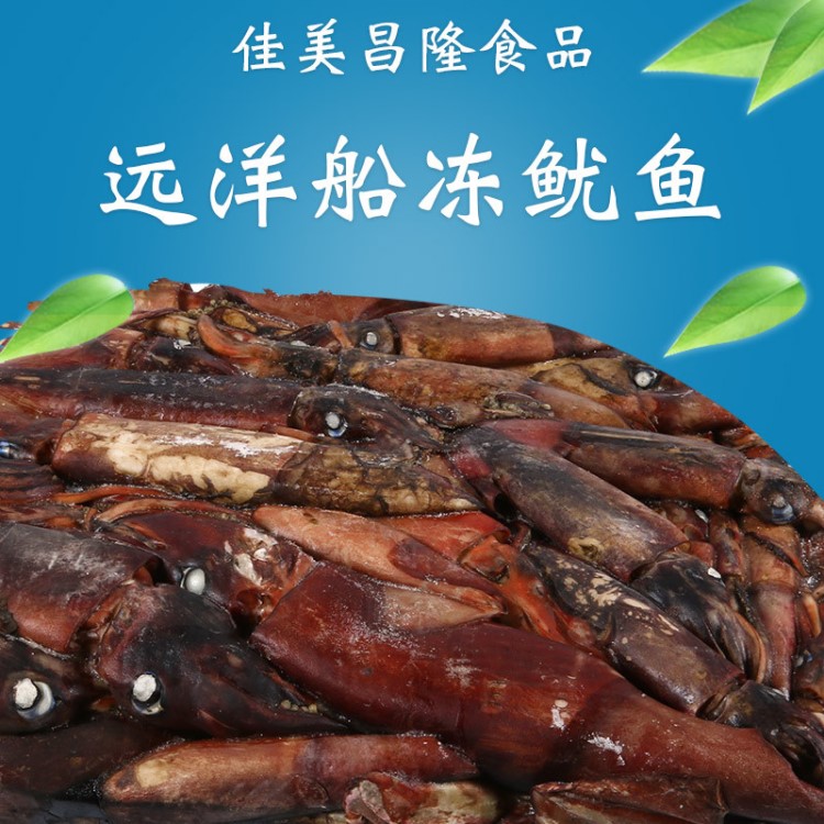 浙江舟山遠(yuǎn)洋船凍魷魚 舟山船凍魷魚 遠(yuǎn)洋船凍魷魚 浙江船凍魷魚