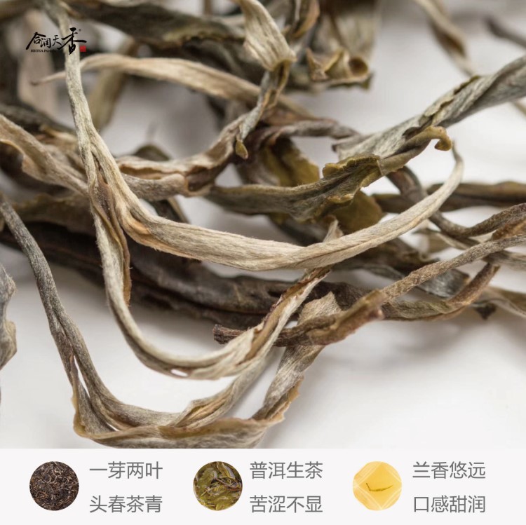 2019景邁頭春普洱生茶 蘭香悠遠(yuǎn) 醇潤(rùn)甘甜