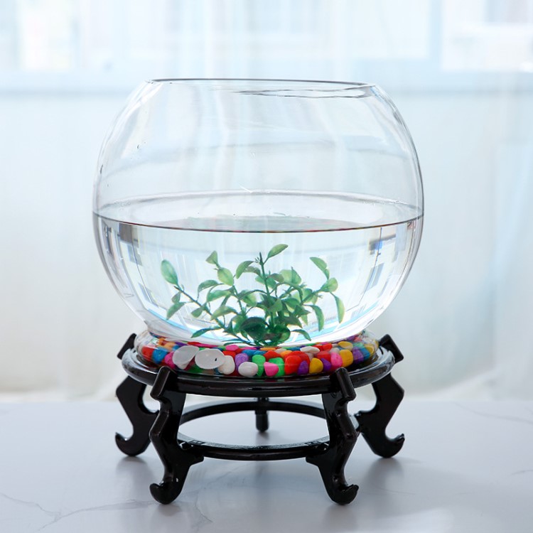 圓形玻璃魚缸創意帶底大號生態金魚缸家用客廳烏龜缸桌面水培花瓶