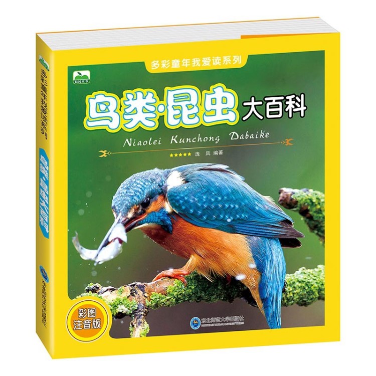 鳥類昆蟲大百科 彩圖注音版 昆蟲科普書籍 鳥類大全 鳥類揭秘批發(fā)