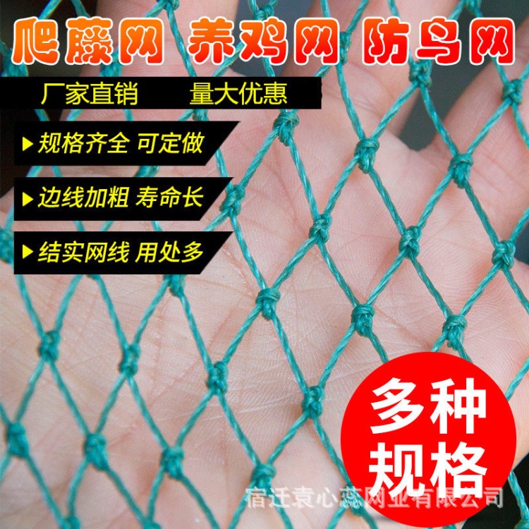 家禽养殖网山鸡网养鸡网尼龙网拦鸡围网防鸟网护栏网球场网爬藤网