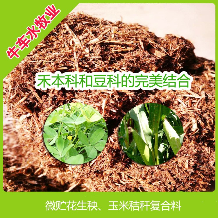 廠價(jià)供應(yīng) 江西牛羊草料 花生秧玉米秸稈微儲(chǔ)飼料  蛋白高 水份低