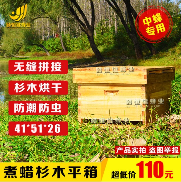 中華蜜蜂土蜂箱烘干蜜蜂中蜂箱包郵杉木蜂箱蜂桶巢箱蜂箱養(yǎng)蜂用具
